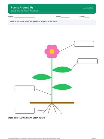 Class 2 EVS Activity Worksheets — sample page 1