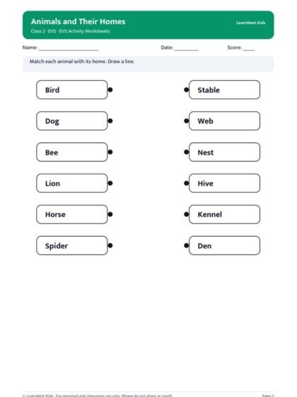 Class 2 EVS Activity Worksheets — sample page 2